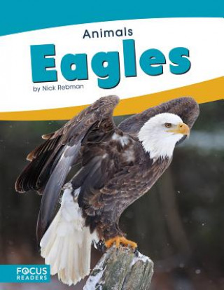 Knjiga Animals: Eagles Nick Rebman
