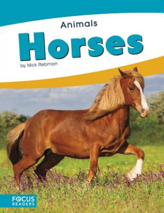 Carte Animals: Horses Nick Rebman