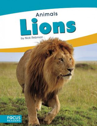 Книга Animals: Lions Nick Rebman