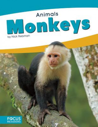 Książka Animals: Monkeys Nick Rebman