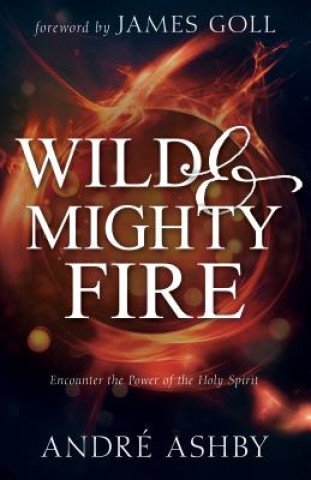 Kniha Wild and Mighty Fire James W Goll