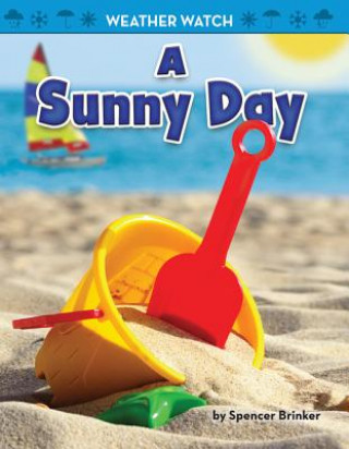 Knjiga A Sunny Day Spencer Brinker