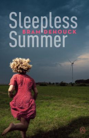Knjiga Sleepless Summer Bram Dehouck