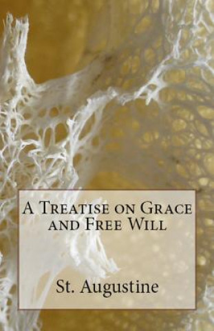 Knjiga Treatise on Grace and Free Will St Augustine