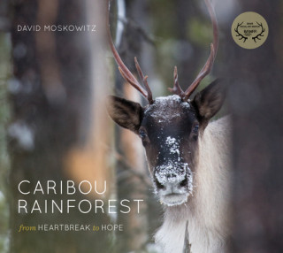 Könyv Caribou Rainforest: From Heartbreak to Hope David Moskowitz
