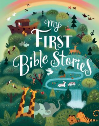 Kniha My First Bible Stories Parragon Books