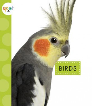 Buch Birds Mari C Schuh