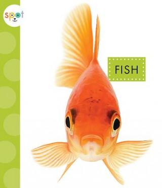 Carte Fish Mari C Schuh