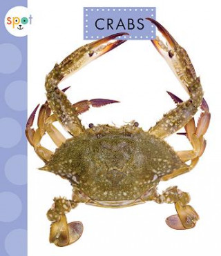 Kniha Crabs Mari C Schuh