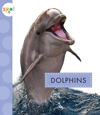 Carte Dolphins Mari C Schuh