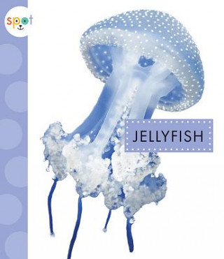 Knjiga Jellyfish Mari C Schuh