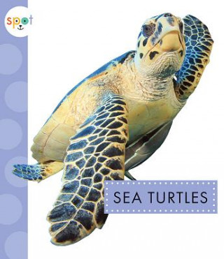 Buch Sea Turtles Mari C Schuh