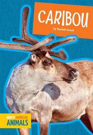 Buch Caribou Rachel Grack