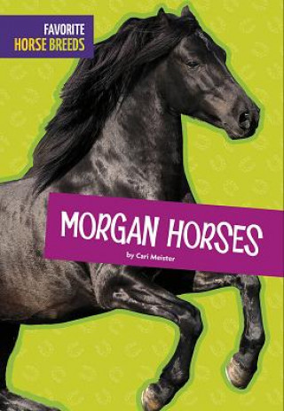 Knjiga Morgan Horses Cari Meister