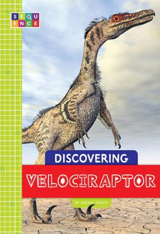 Könyv Discovering Velociraptor Rachel A Koestler-Grack