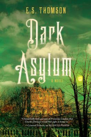 Książka Dark Asylum E S Thomson