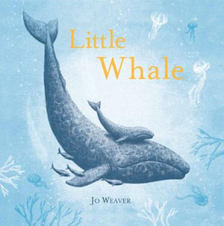 Könyv Little Whale Jo Weaver