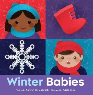 Buch Winter Babies Kathryn O Galbraith