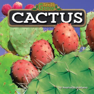 Knjiga Cactus Anastasiya Vasilyeva