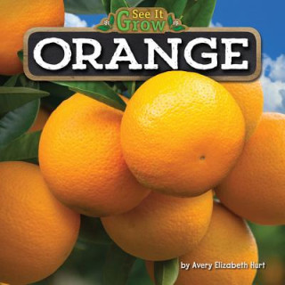 Knjiga Orange Avery Elizabeth Hurt