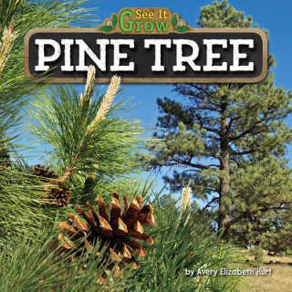 Kniha Pine Tree Avery Elizabeth Hurt