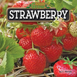 Knjiga Strawberry E Merwin