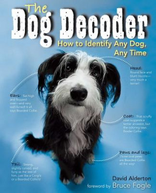 Carte Dog Decoder David Alderton