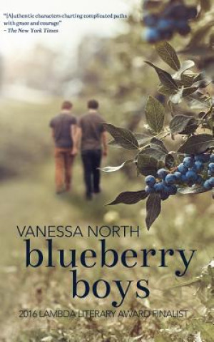 Boek Blueberry Boys Vanessa North