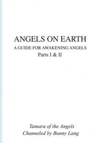 Carte Angels on Earth: A Guide for Awakening Angels Bunny Lang