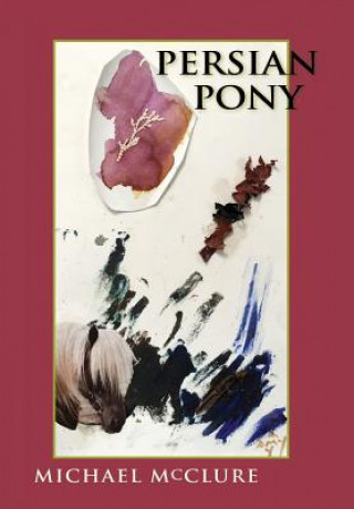 Buch Persian Pony Michael McClure
