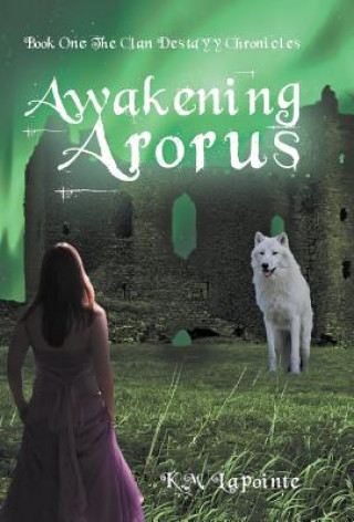 Kniha Awakening Arorus K M Lapointe