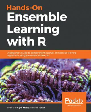 Kniha Hands-On Ensemble Learning with R Prabhanjan Narayanachar Tattar