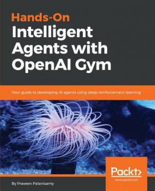 Könyv Hands-On Intelligent Agents with OpenAI Gym Praveen Palanisamy