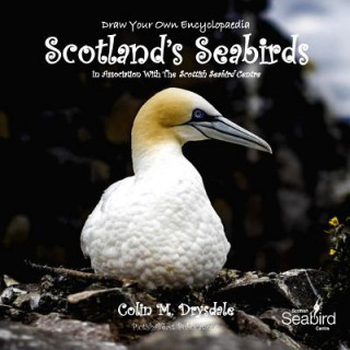 Buch Draw Your Own Encyclopaedia Scotland's Seabirds Colin M Drysdale