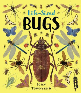 Kniha Life-Sized Bugs John Townsend