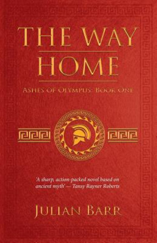 Kniha Way Home Julian Barr