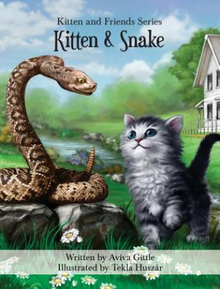 Kniha Kitten & Snake Aviva Gittle