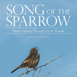 Buch Song of the Sparrow Deborah Freeman