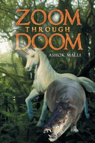 Книга Zoom Through Doom Ashok Malli