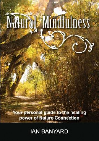 Buch Natural Mindfulness Ian Banyard