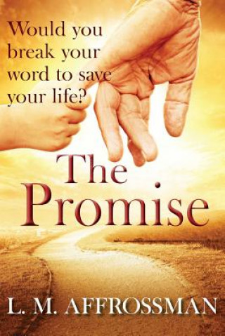 Buch Promise L M Affrossman