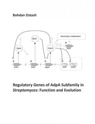 Könyv Regulatory Genes of AdpA Subfamily in Streptomyces: Function and Evolution Ostash Bohdan Ostash