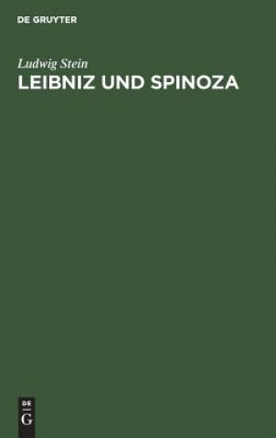 Kniha Leibniz und Spinoza Ludwig Stein