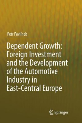 Libro Dependent Growth: Foreign Investment and the Development of the Automotive Industry in East-Central Europe Petr Pavlinek