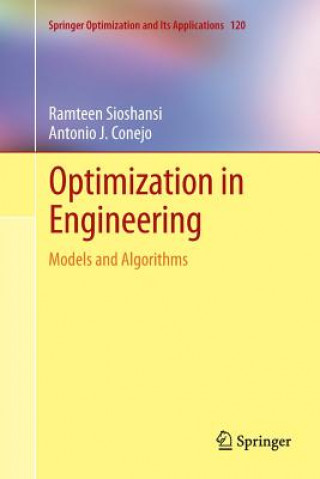 Carte Optimization in Engineering Ramteen Sioshansi