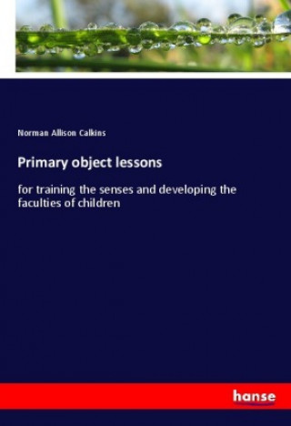 Knjiga Primary object lessons Norman Allison Calkins