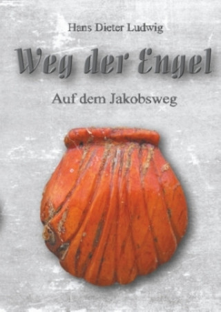 Knjiga Weg der Engel Hans Dieter Ludwig