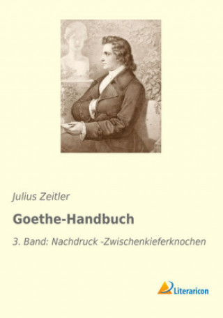 Knjiga Goethe-Handbuch Julius Zeitler