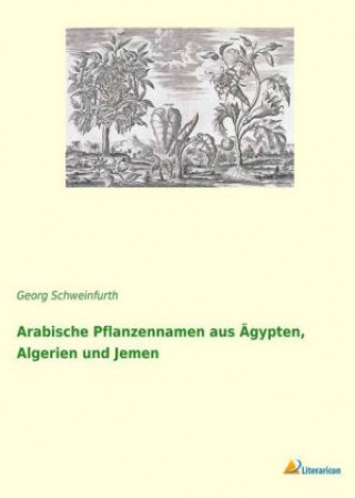 Kniha Arabische Pflanzennamen aus Ägypten, Algerien und Jemen Georg Schweinfurth