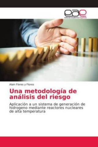 Книга metodologia de analisis del riesgo Alain Flores y Flores